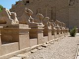 Karnak Temple Amon Allee Sphinx Belier 0089